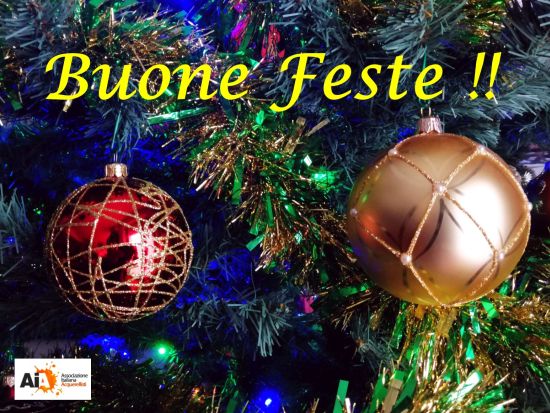 L'Associazione Italiana Acquerellisti augura a tutti Buone Feste!!