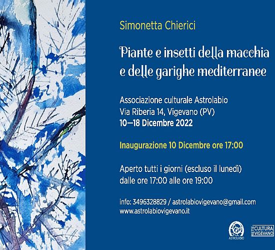 Simonetta Chierici espone a Vigevano (PV)
